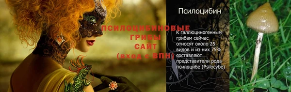 мет Абаза