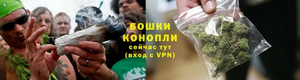 ПСИЛОЦИБИНОВЫЕ ГРИБЫ Алзамай