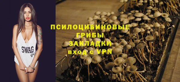 стафф Абдулино