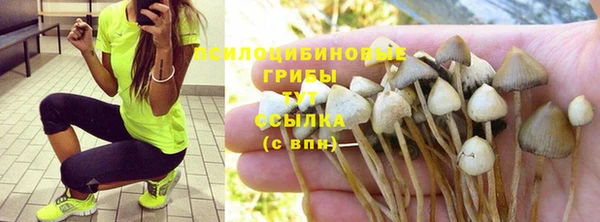 стафф Абдулино