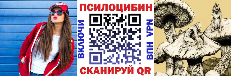 где купить наркоту  гидра зеркало  Псилоцибиновые грибы мицелий  Тарко-Сале 